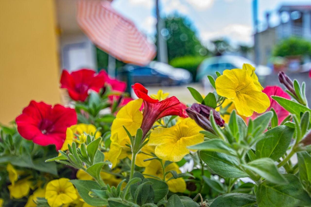 Appartment Happy Time Матульи Экстерьер фото